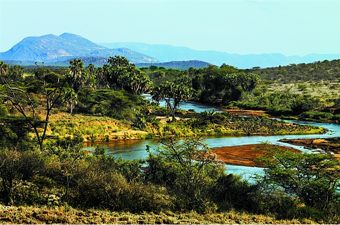 Mombasa Safari