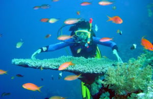 Scuba Mombasa Kenya